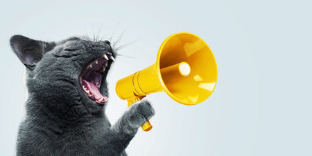 Funny gray cat screams with a yellow loudspeaker on a blue background, creative idea. Fun pet kitten speaks into a megaphone. Management and advertising conceptの写真素材