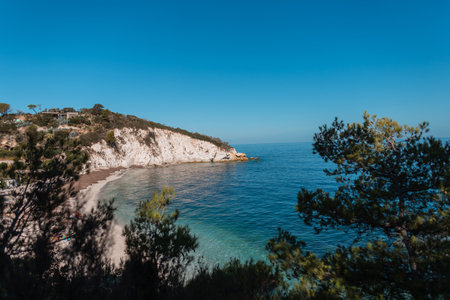 Beautiful exotic view on the island of Elba, Italy with beach, rocks and trees by the blue clear seaの写真素材