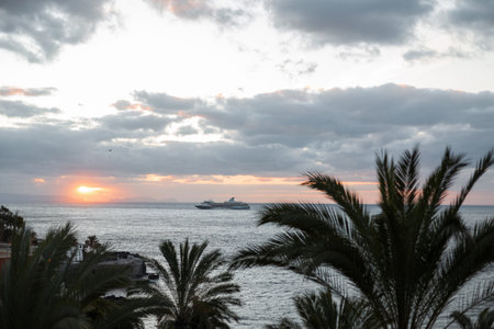 Amazing ocean view at sunrise with cruise ship and palm trees. Travel by boat. Madeira Islandの写真素材