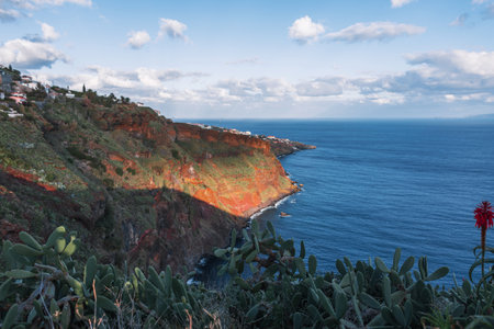 Beautiful mountain with cacti and houses near the ocean on the island of Madeira