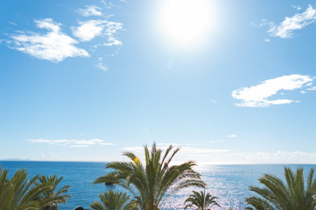 Sunny warm day with ocean and palm trees. blue sky with sun. holidays and travelの写真素材