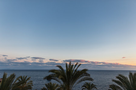 Beautiful ocean view with blue sky, palm trees and ocean at sunsetの写真素材