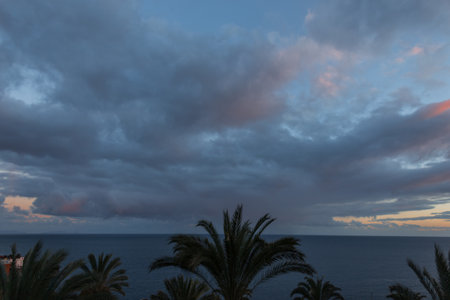 Beautiful evening sky with clouds near the ocean with palm trees after sunsetの写真素材