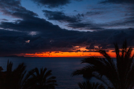 Amazing red sunset on dark sky with clouds and palm trees in Madeira islandの写真素材