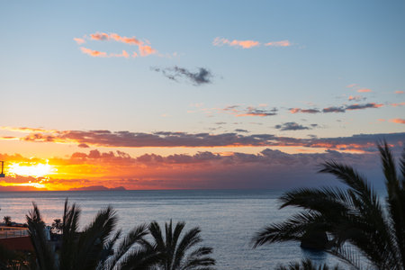 Amazing early morning sunrise with palm trees in Madeira island. Beautiful sunset and skyの写真素材