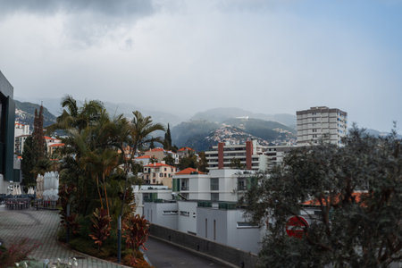 Beautiful city of Funchal with palm trees, houses and mountains in the clouds on the island of...