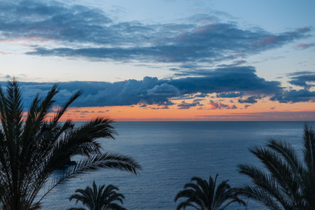 Beautiful sunrise with clouds, palm trees and the ocean. early dawn. amazing viewの写真素材