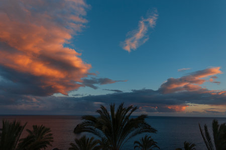Amazing blue sky at sunset with palm trees and clouds in Madeira islandの写真素材