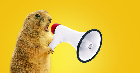 Funny gopher is holding a loudspeaker and screaming. Creative idea, management and business. The concept of advertising and attracting attentionの写真素材