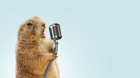 Funny gopher sings karaoke into a vintage microphone. Gopher screaming into a microphone, concept. Voice recording, creative idea. Cool gopher performanceの写真素材