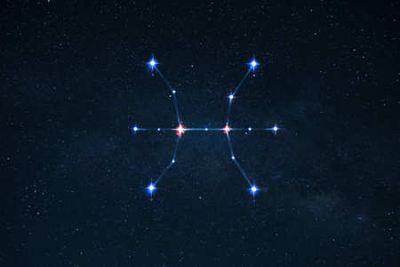 Zodiac sign Pisces on the night starry sky with stars. Astrology, conceptの写真素材