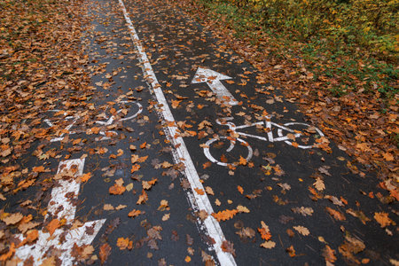 Autumn bike path covered with fallen leaves in the park. Scenic seasonal background with bicycle lane markings, symbolizing travel, eco transport, and the beauty of fall nature.の写真素材