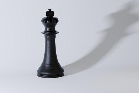King black chess piece with shadow on white background. Strategy, creative idea. Success, potential, leadership, thinking, conceptの写真素材