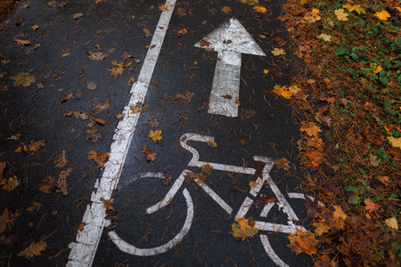 Bike path with bright yellow autumn leaves on a rainy day. Scenic autumn forest road surrounded by tall trees with yellow and orange leaves, creating a peaceful and picturesque seasonal landscape.の写真素材