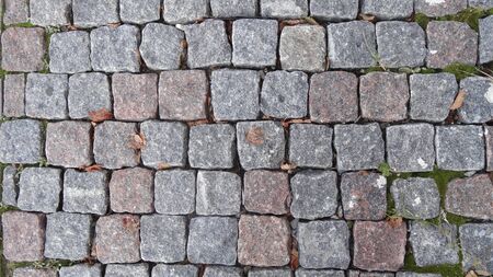 Walkway cobblestone, granite cubes, crushed with leaves and moss parties