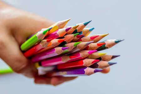 Colour pencils isolated on white background close up