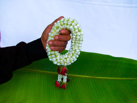 Steering wheelの写真素材