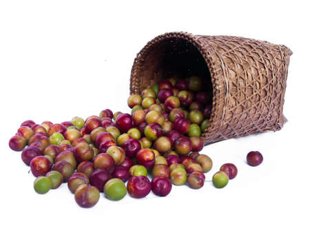 Plum on a white background .の写真素材