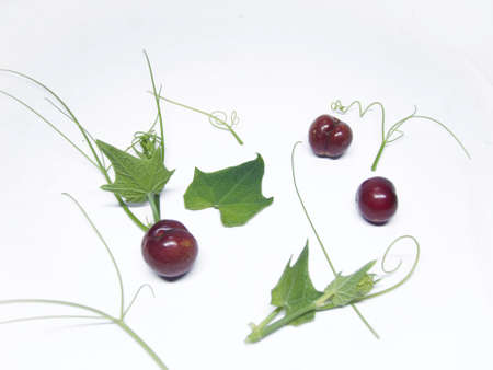 plum and Chayote