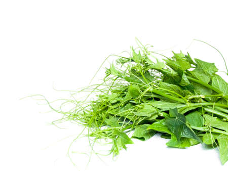 Chayote on the background to create an ideal portfolio .