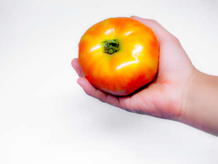 Tomatoes on the background to create an ideal portfolio .の写真素材