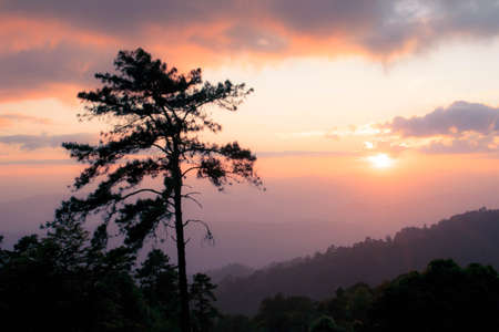 Silhouette trees on hill with sun rise backgroundの写真素材