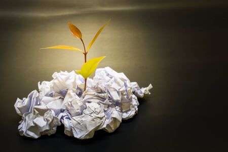 Little plant grow up on Crumpled paper in concept everything is posible if you do itの写真素材