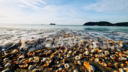 Beautiful seascape with seashells on the beach.
