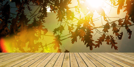 Autumn background with oak leaves and wooden terrace. 3d render