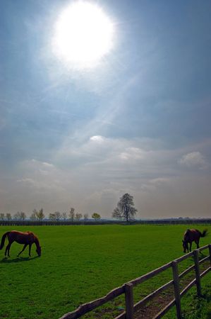 sunsets over Oxfordshireの写真素材