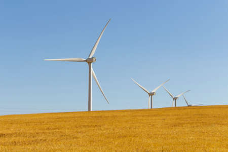 Wind farm between pasturesの写真素材