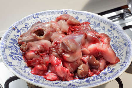 Dish with wild rabbit meat, cut and clean, ready to be cookedの写真素材