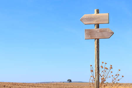 Wood signpost indicating the left and right directions on blue skyの写真素材