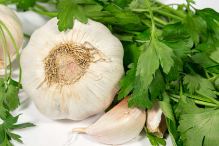 Garlic and leaves of parsley, on whiteの写真素材