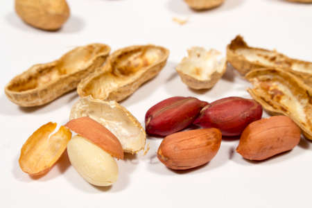 Peanut grains in front of empty shells. On white background