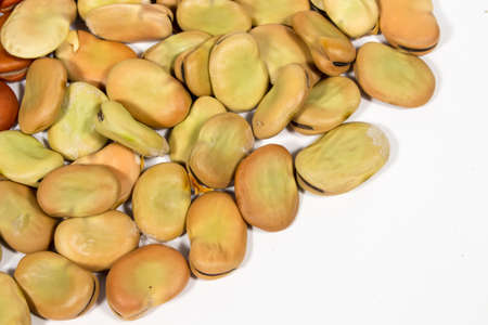 Seeds of broad bean with months of drying. Blank space at bottom rightの写真素材