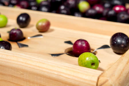 Detail of traditional wooden slitter with steel blades for preparing seasoned slit olivesの写真素材