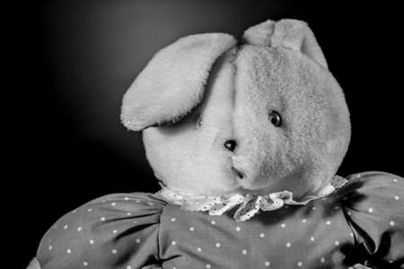 Teddy bear with big ears and dressed, on black and whiteの写真素材
