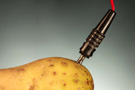 Cathode connected to a potato. Energy crops