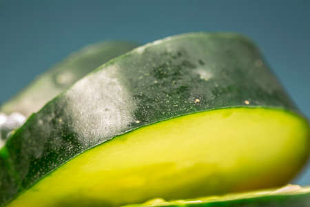 Macro view of the green skin of a cucumber sliceの写真素材