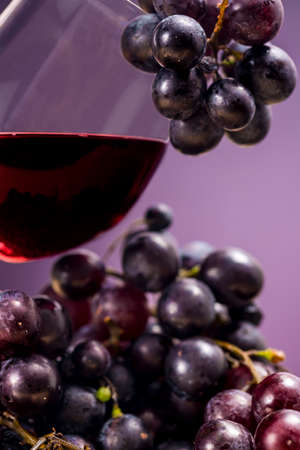 Red wine and grapes. Oenologyの写真素材