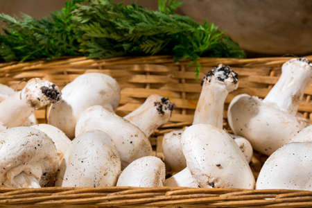 Raw mushrooms into a wicker basket. Organic foodの写真素材
