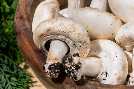 Close-up of raw mushrooms into a wooden bowl. Autumn foodの写真素材