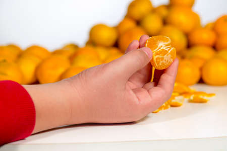 Hand of a kid over a white table holding a peeled clementine, in front of heap of citrus fruitsの写真素材