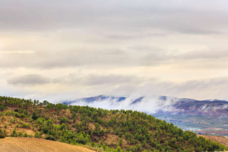 Mountainous landscape of pines forest with low clouds on a rainy day, in front of an agricultural valley full of farmlandsの写真素材