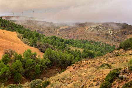 Mountainous landscape on a rainy sunset, with pinewoods and shrubs. Windmills at background seen...