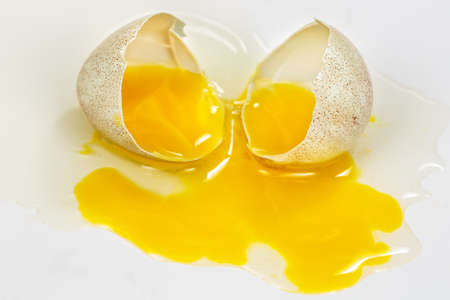 Yolk and egg white of a broken partridge egg, on white