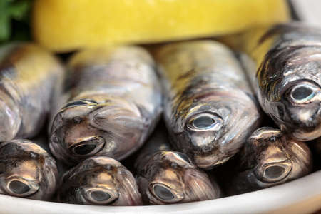 Fresh Mediterranean anchovies, typical "boquerón" of Andalusian gastronomyの写真素材