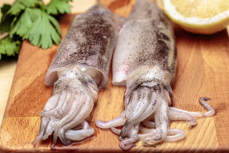 Close-up of fresh squids at kitchen. Cooking cuttlefishesの写真素材