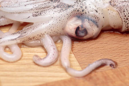 Macro view of eye and tentacles of an uncooked squidの写真素材